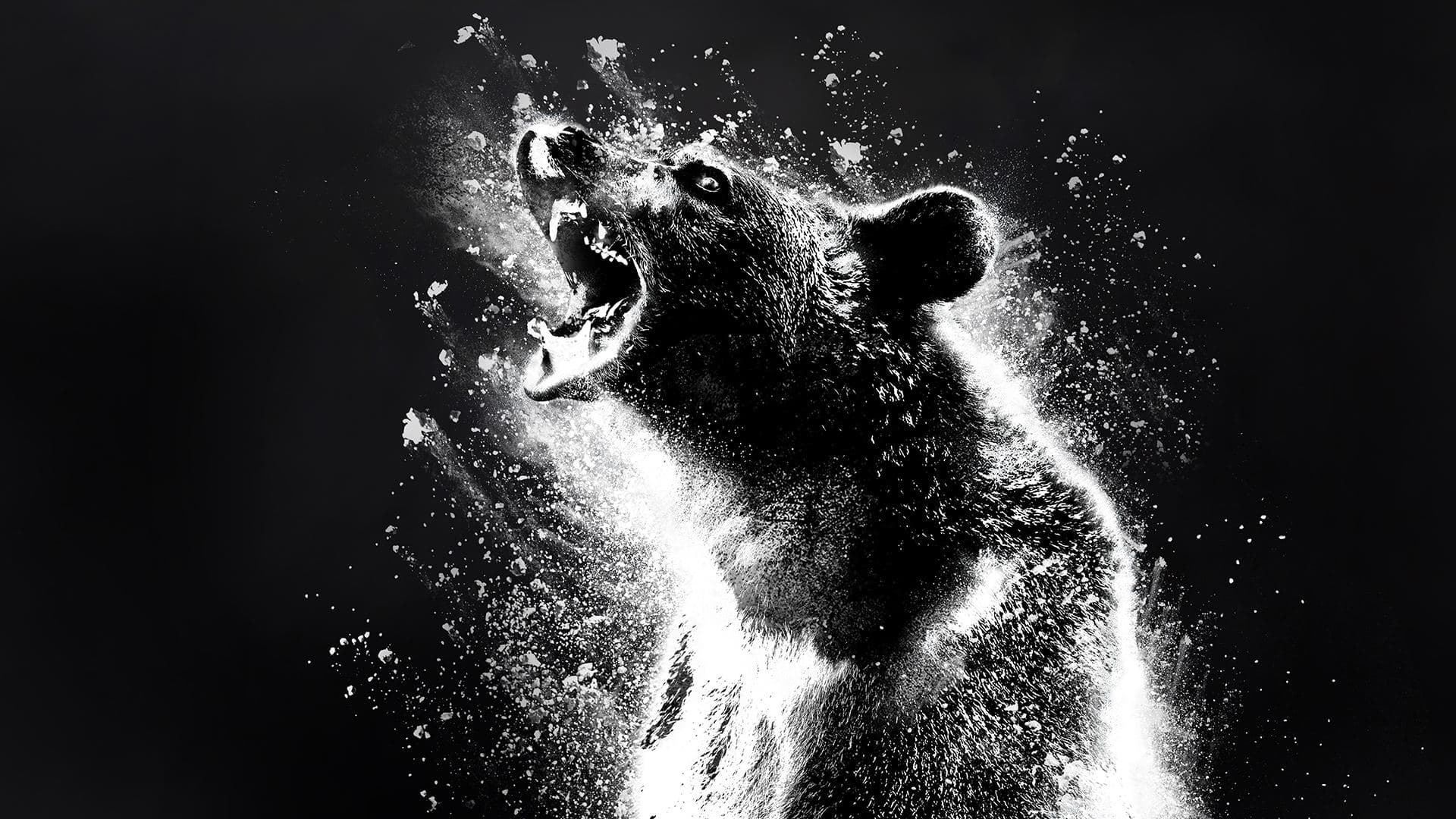 Cocaine Bear key art