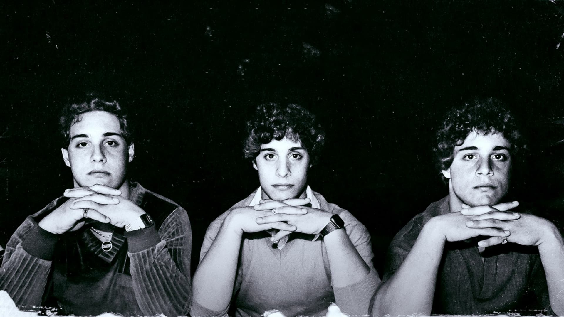 Three Identical Strangers key art