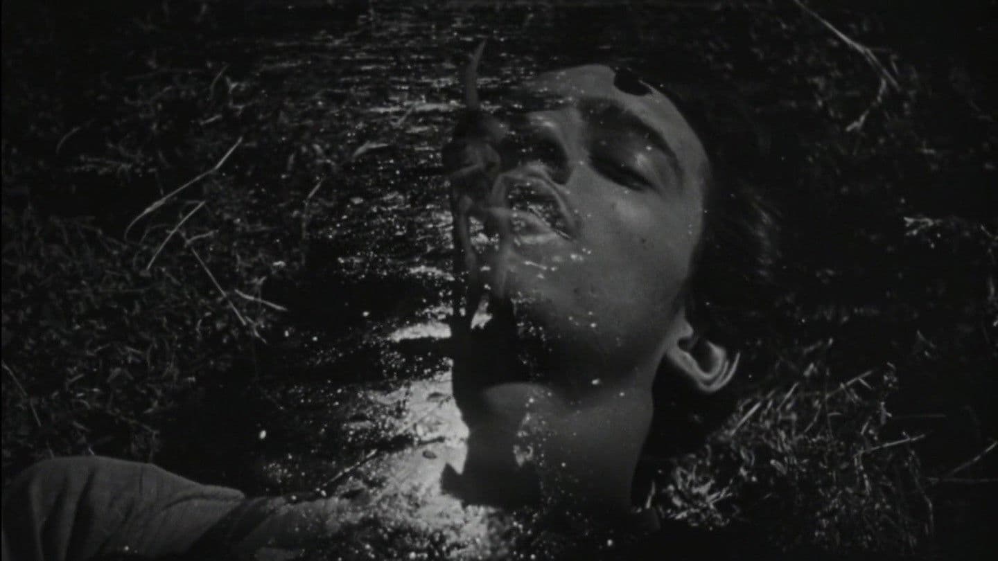 The Young and the Damned key art