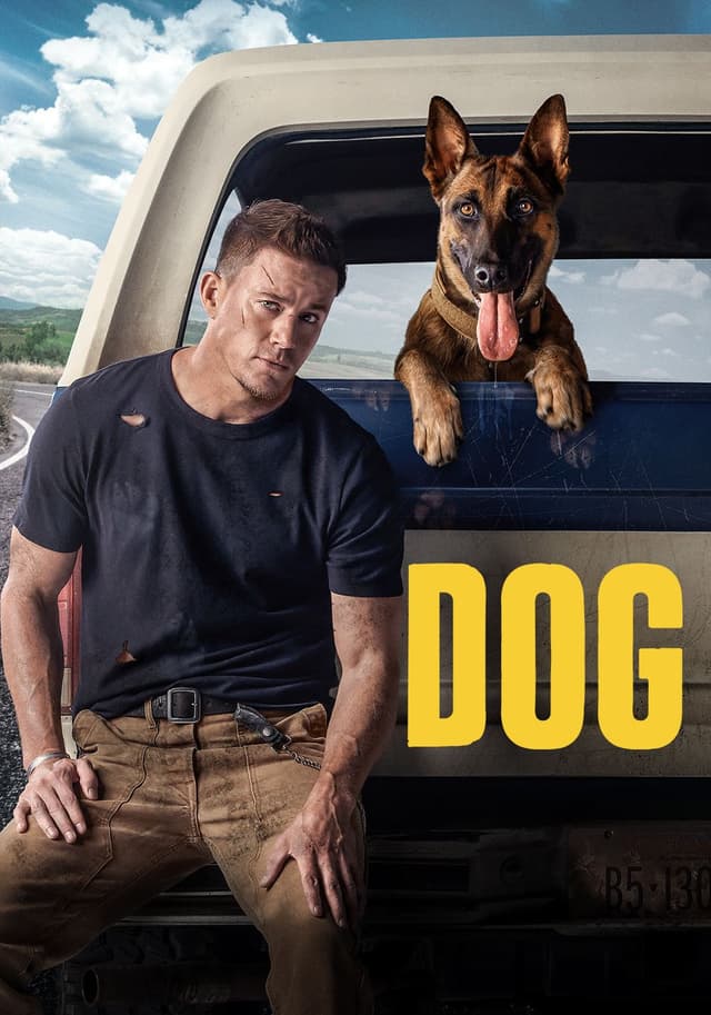 Dog movie poster