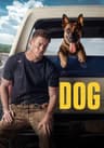 Dog movie poster