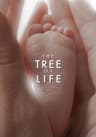 The Tree of Life movie poster
