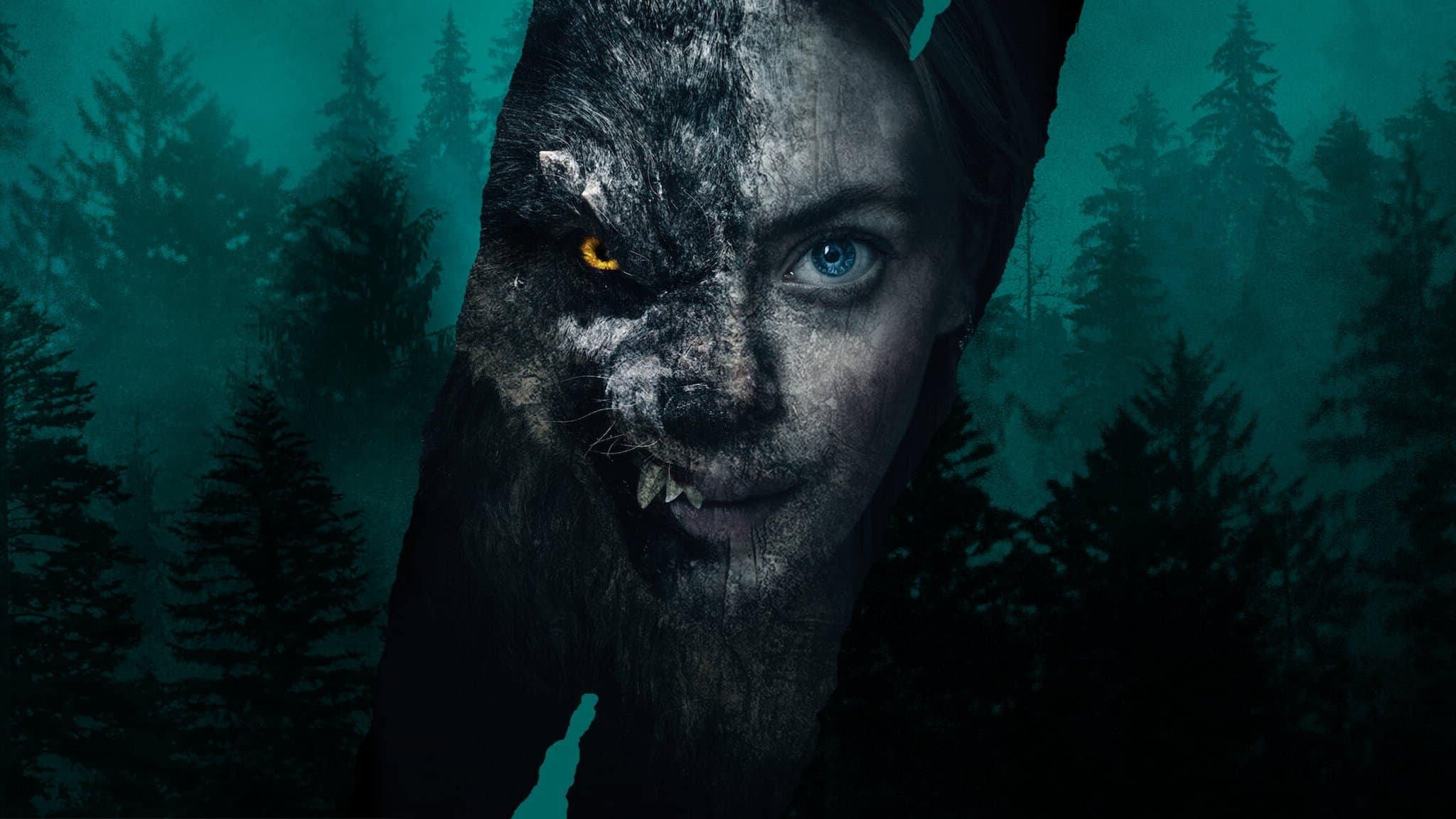 Viking Wolf key art