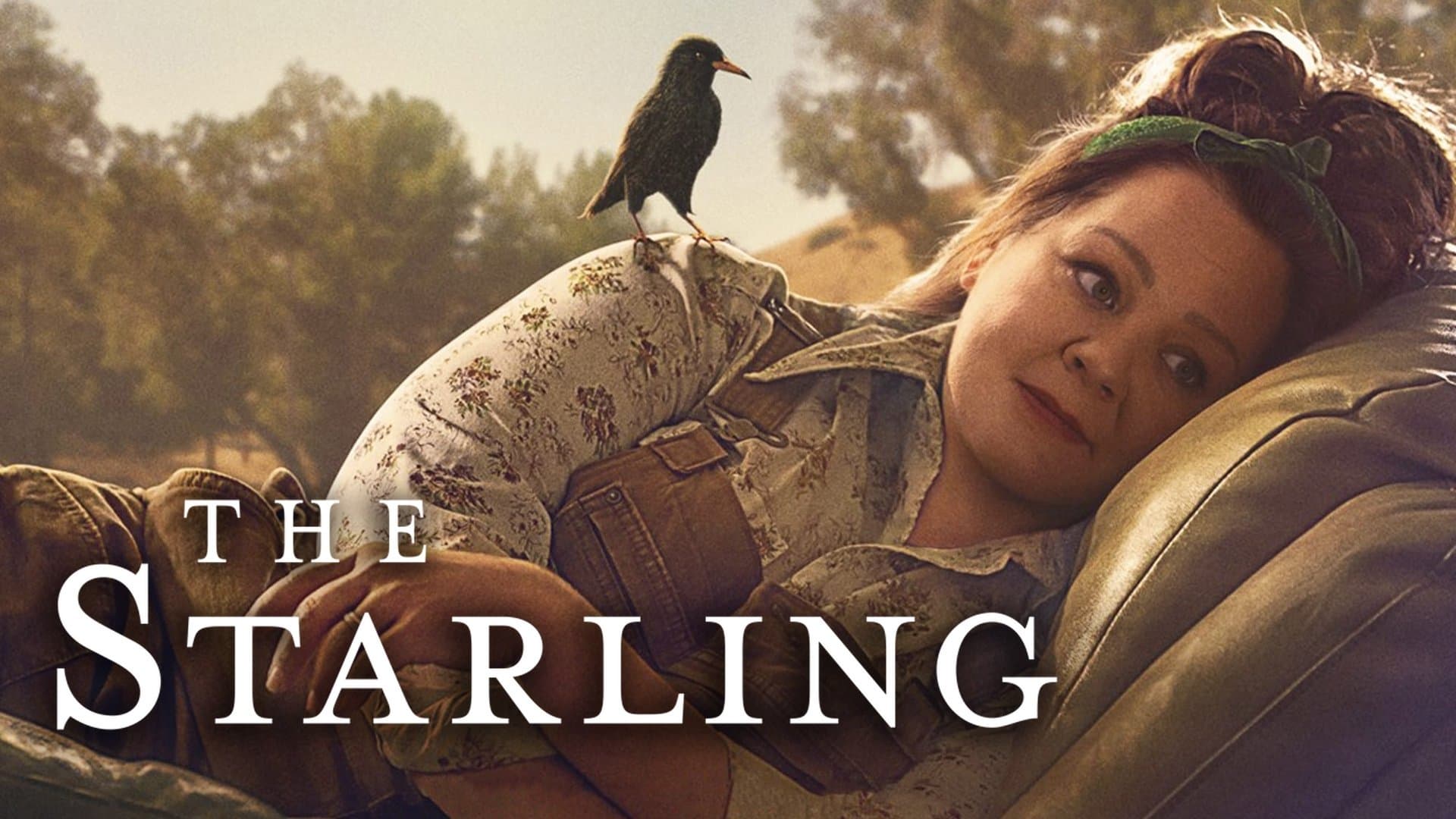 The Starling key art