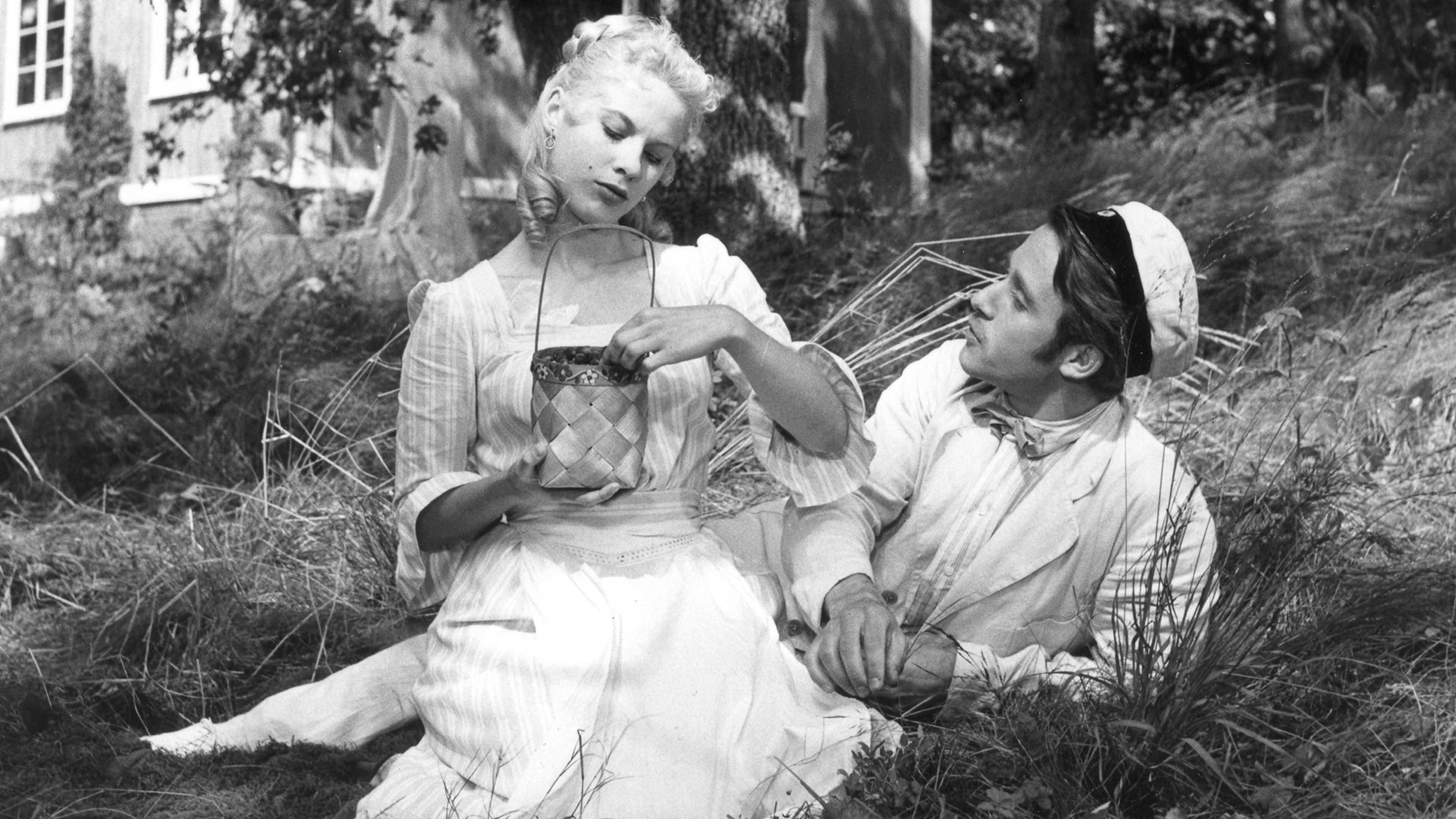 Wild Strawberries key art