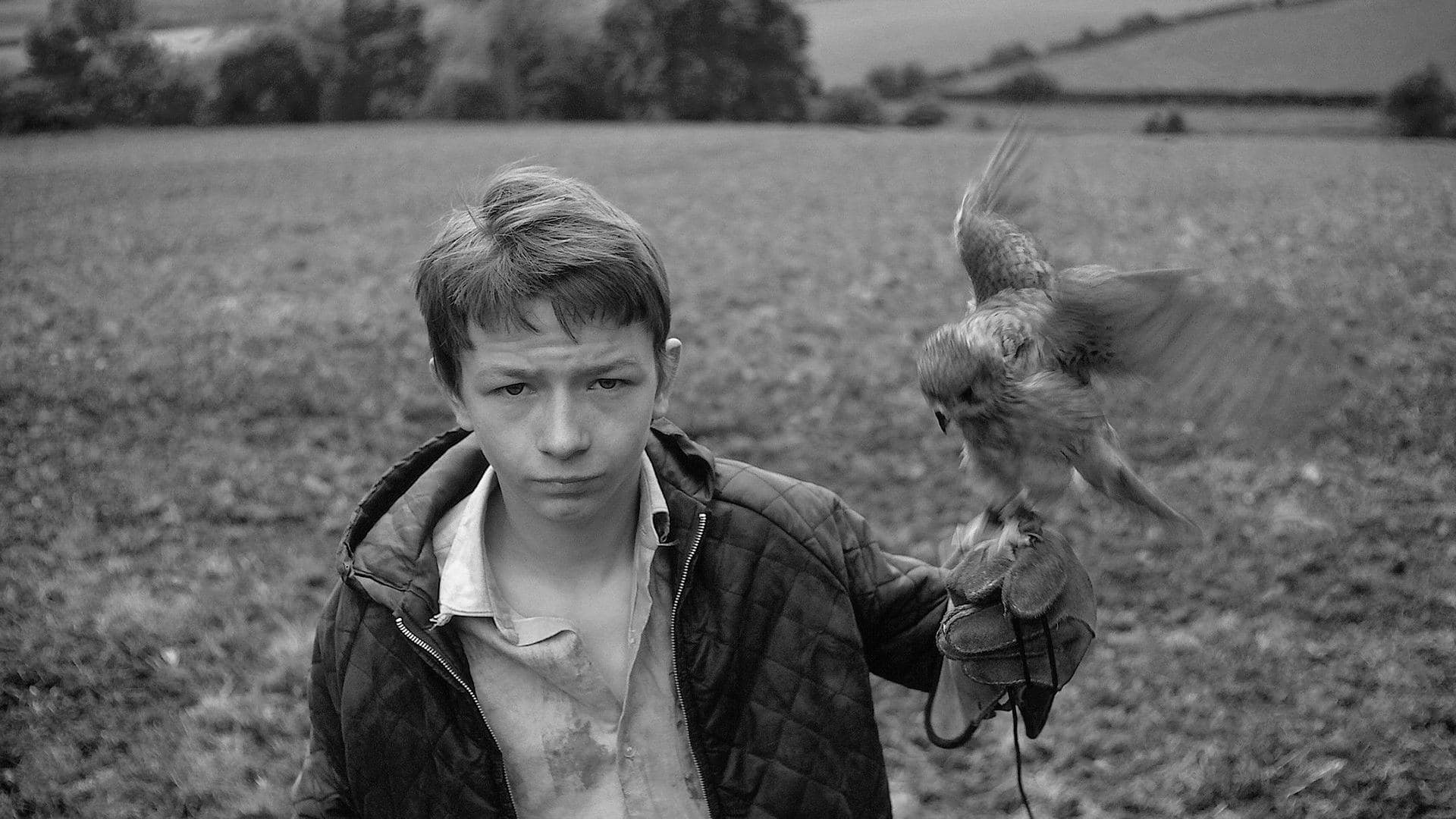 Kes key art