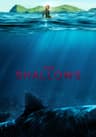 The Shallows movie poster
