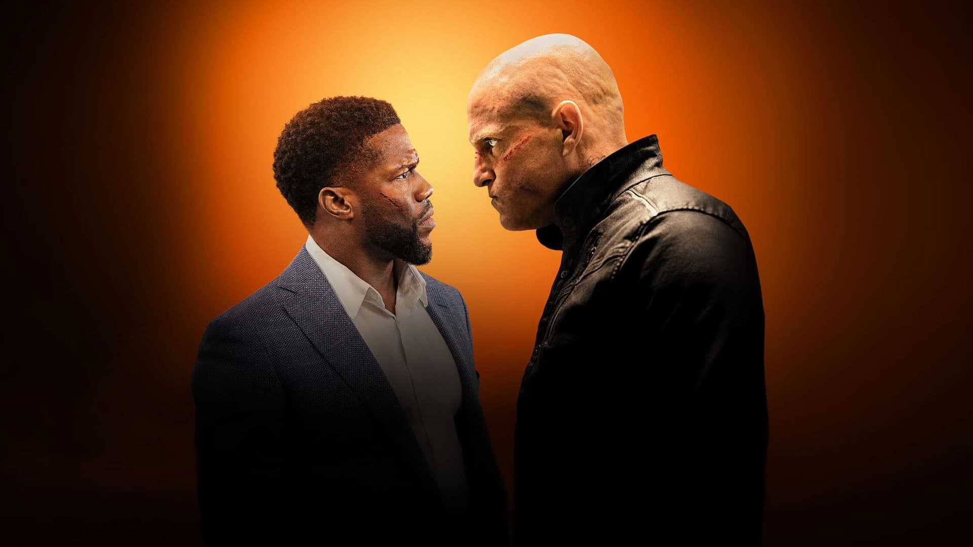 The Man from Toronto key art