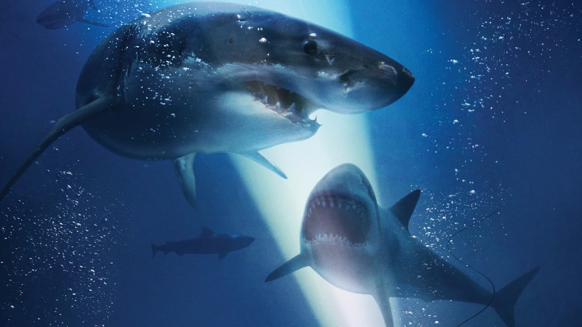 47 Meters Down key art