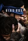 Bird Box movie poster
