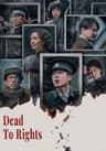 Dead to Rights movie poster