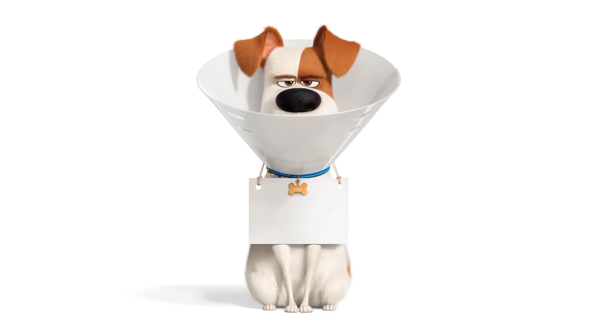 The Secret Life of Pets 2 key art