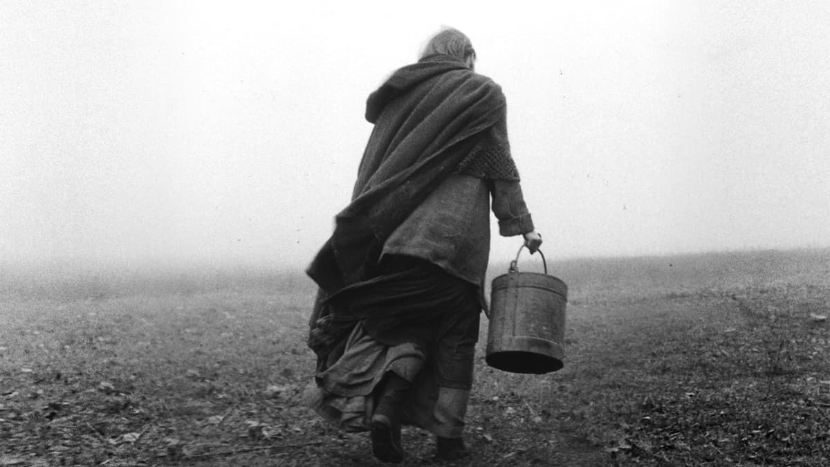The Turin Horse key art