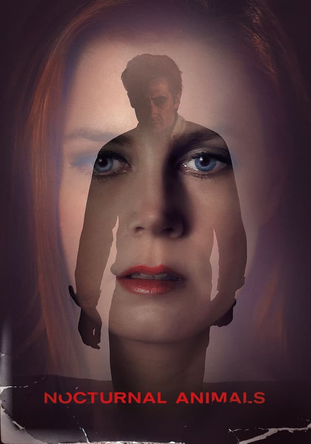 Nocturnal Animals movie poster