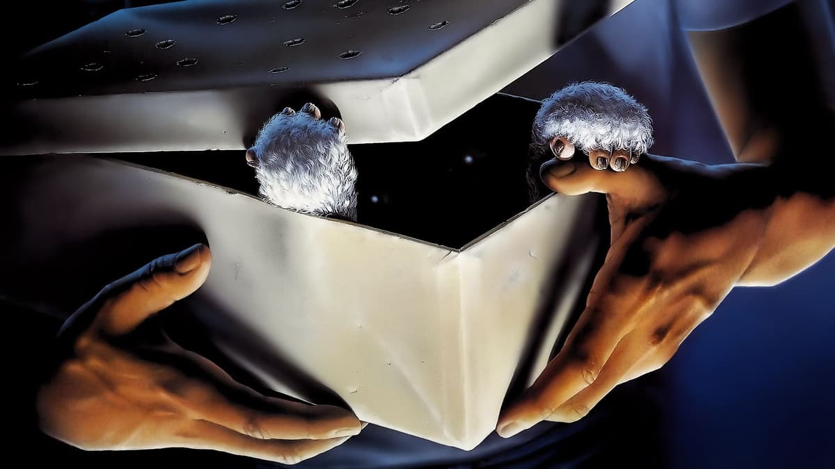 Gremlins key art