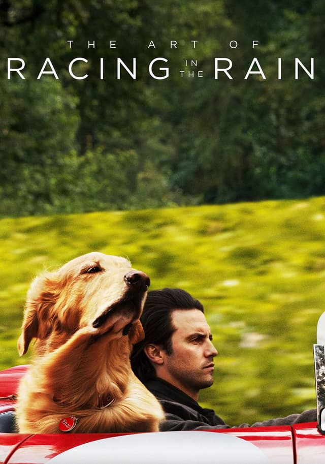 The Art of Racing in the Rain movie poster