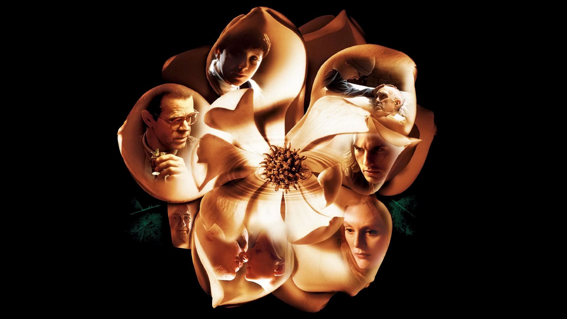 Magnolia key art