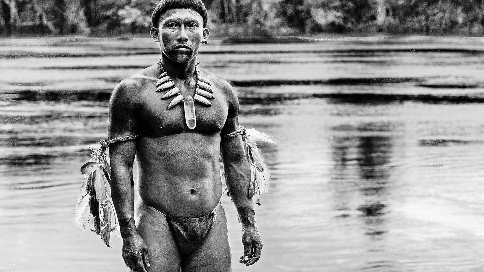 Embrace of the Serpent key art