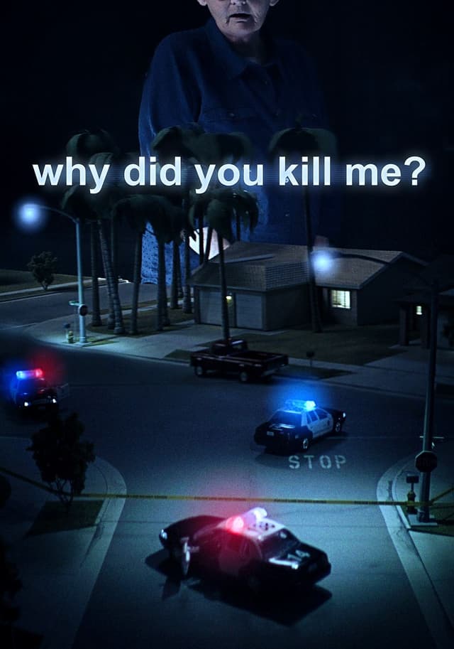 Why Did You Kill Me movie poster