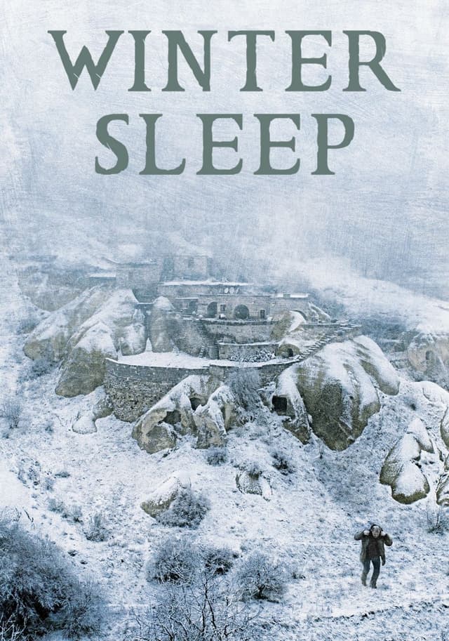 Winter Sleep movie poster