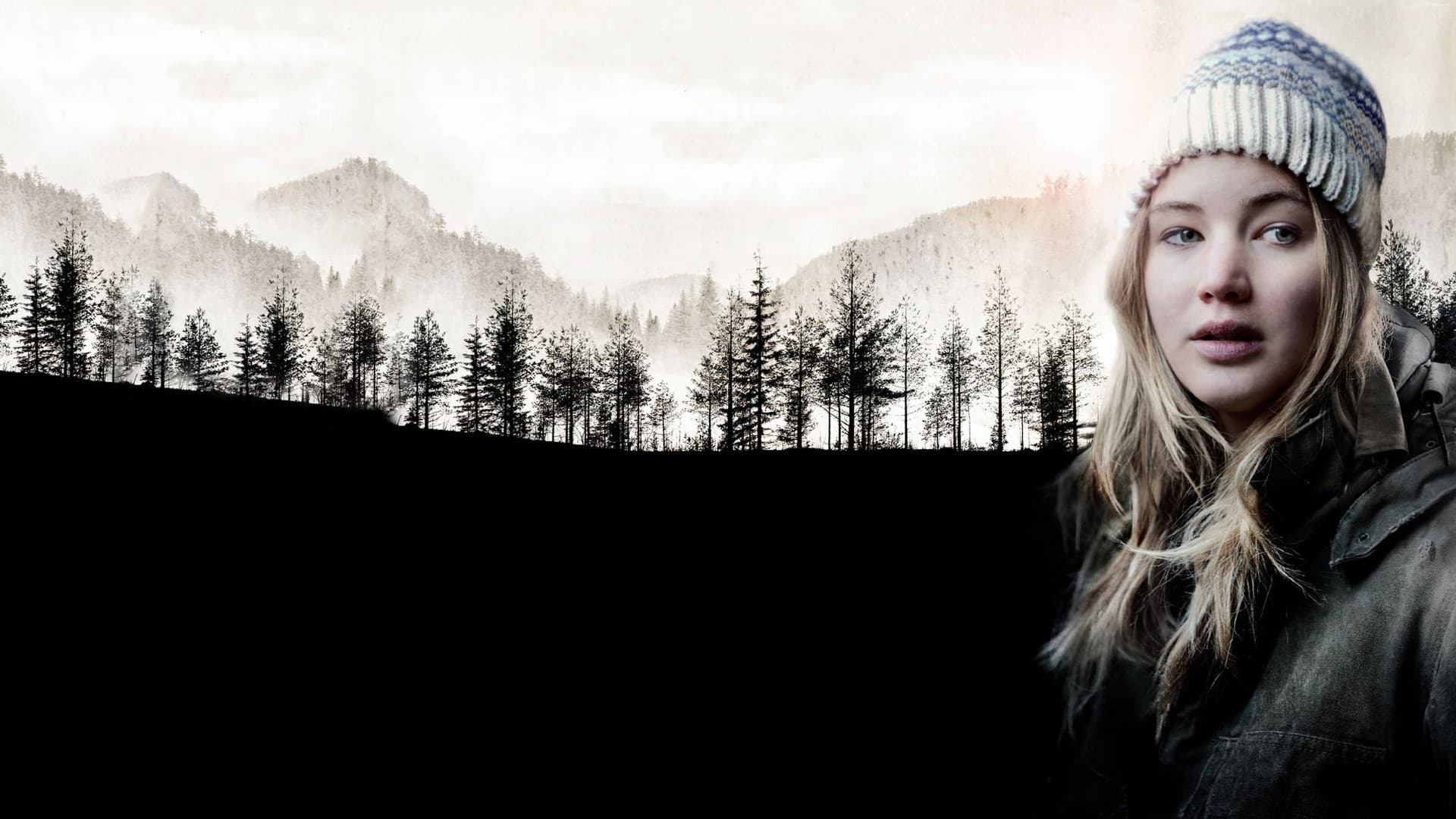 Winter's Bone key art background