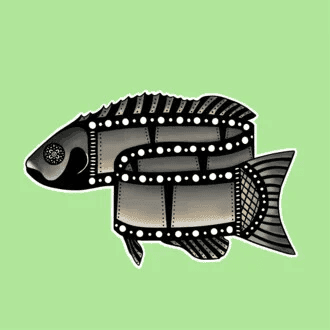 x1QXcwDQ1YXhlDQlPIjy1fp9Kw