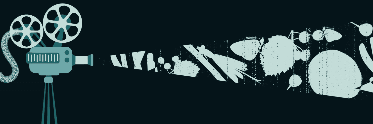 xa23SFnZjkLyGRbRrfWNCeDW4