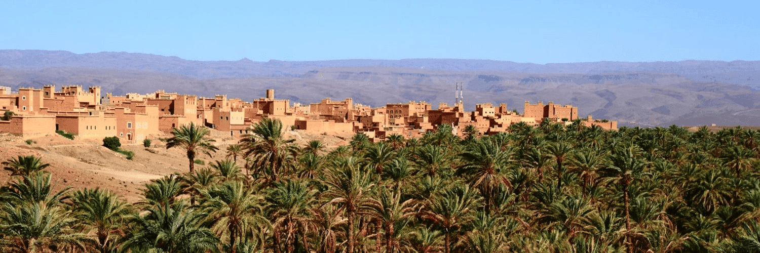 UZfQCGpPyaaEcEfuBZluz6VhUOo