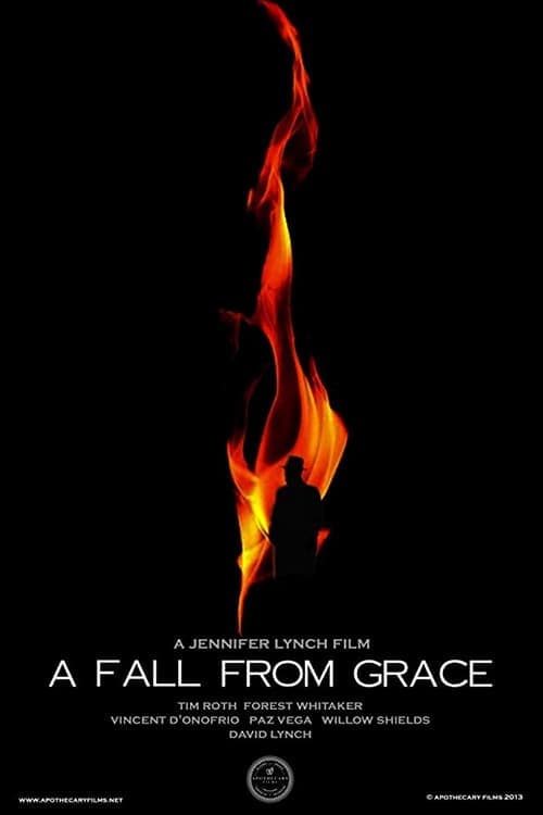 A Fall from Grace movie poster