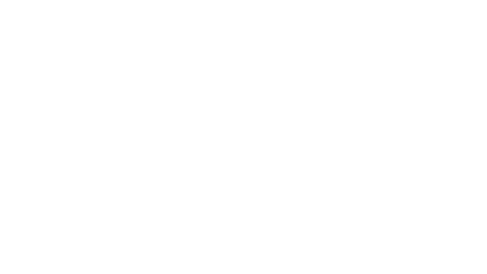 Anifilm International Festival of Animated Films logo