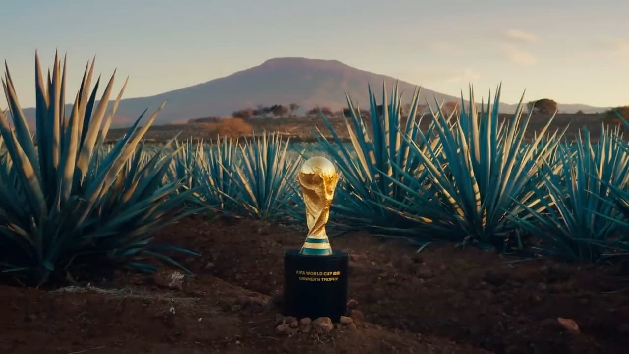 Bryan Fellows on set