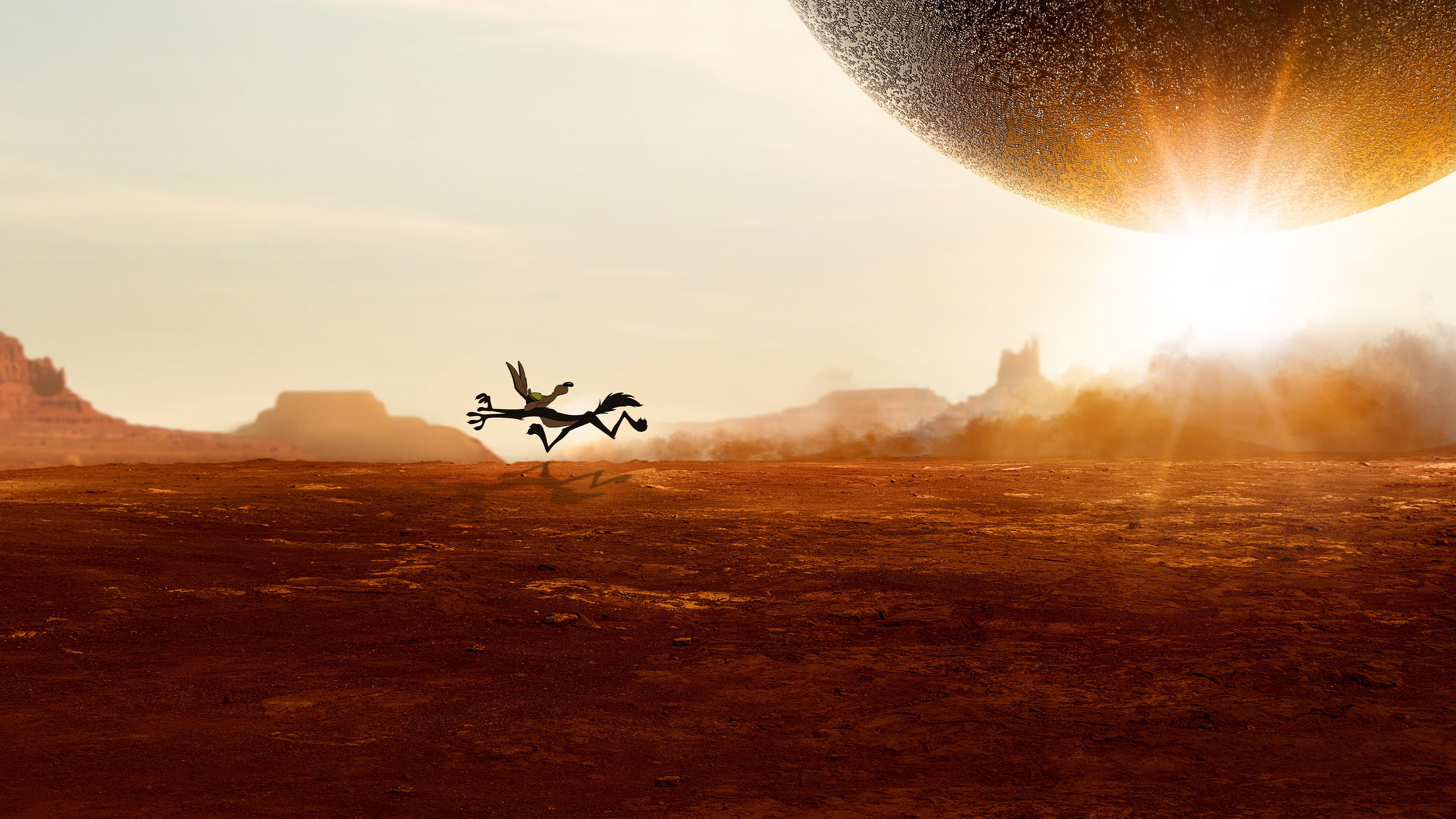 Coyote vs. Acme (2026) Key Art