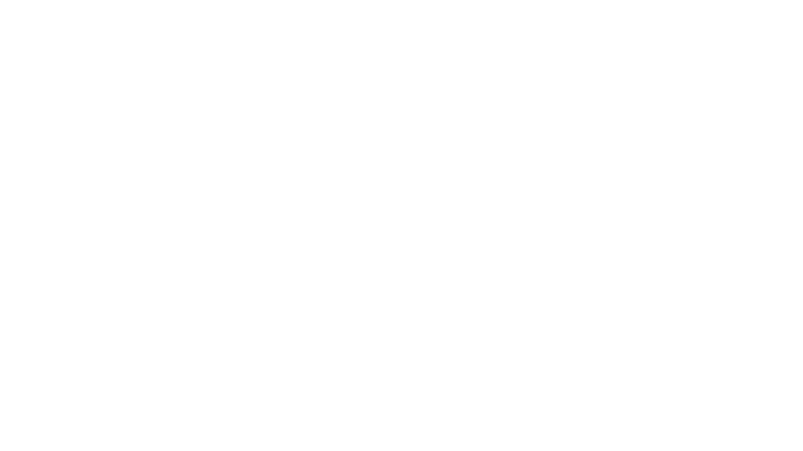 Dallas International Film Festival logo