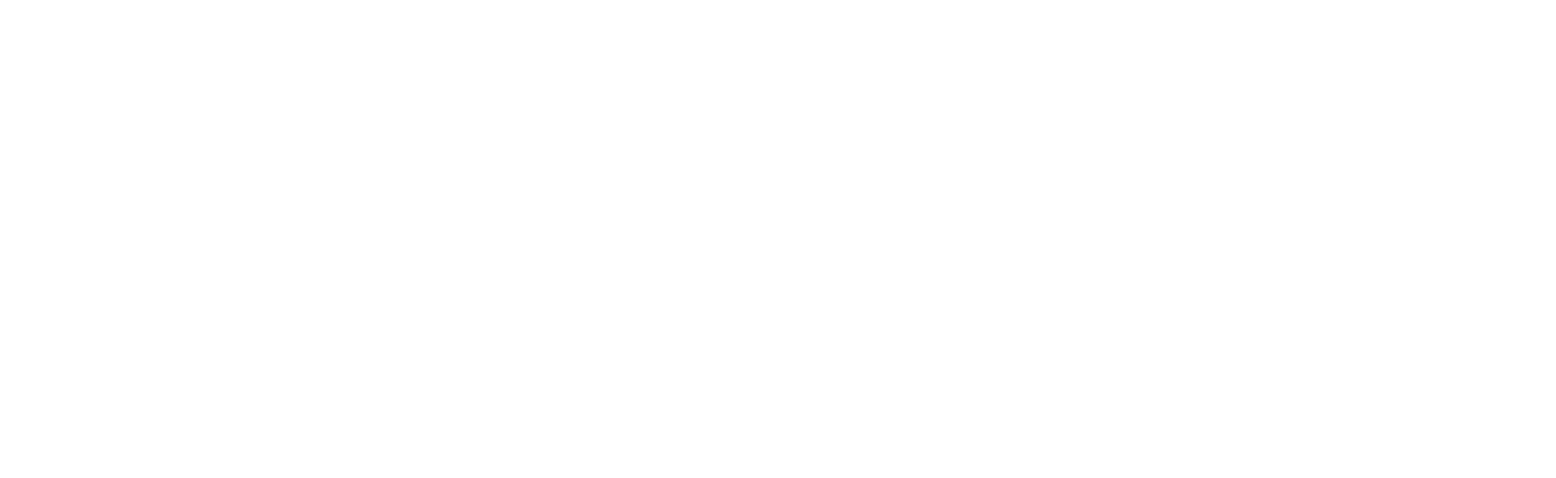 Annecy Festival white logo