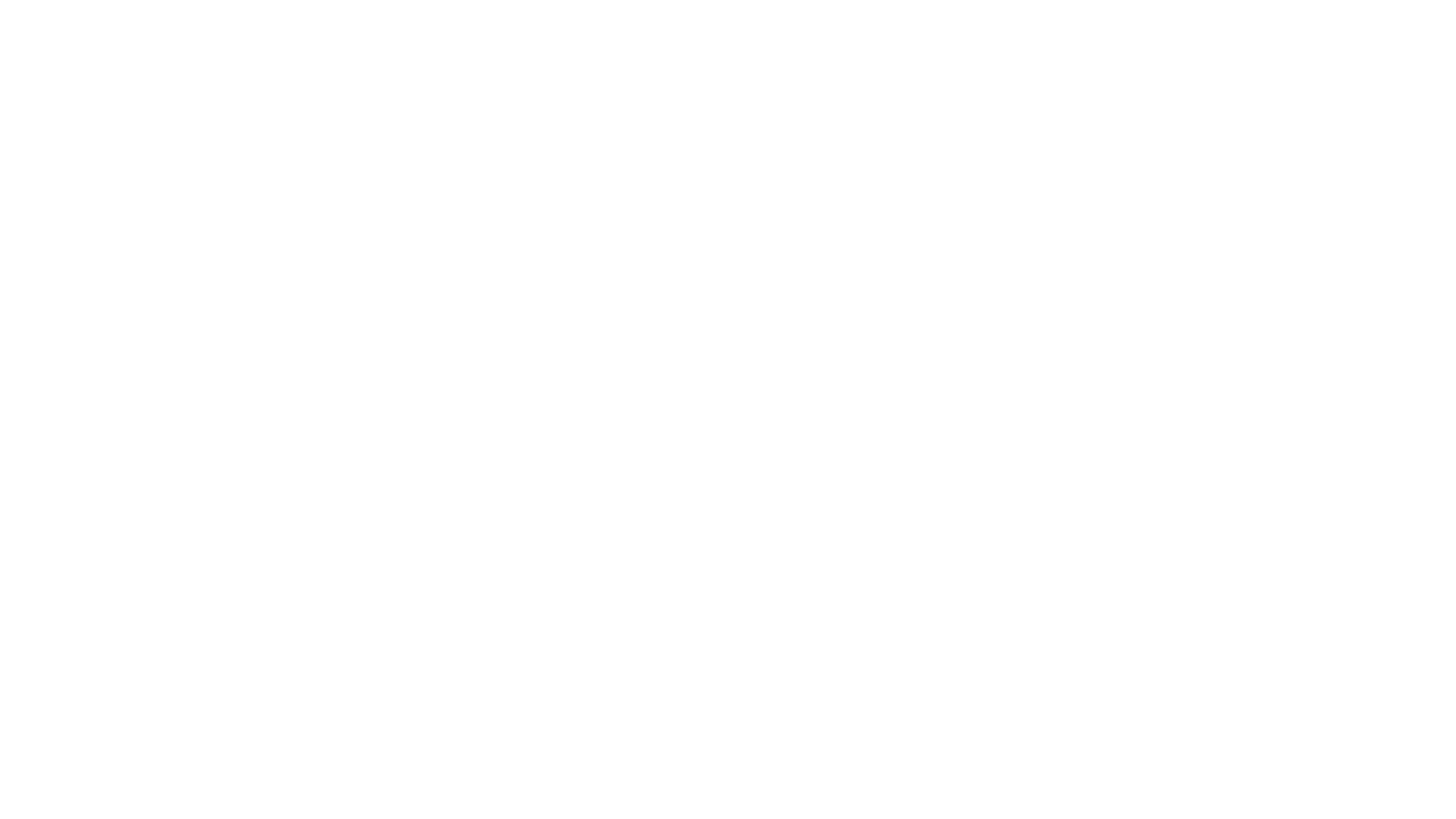 Florida Film Festival logo