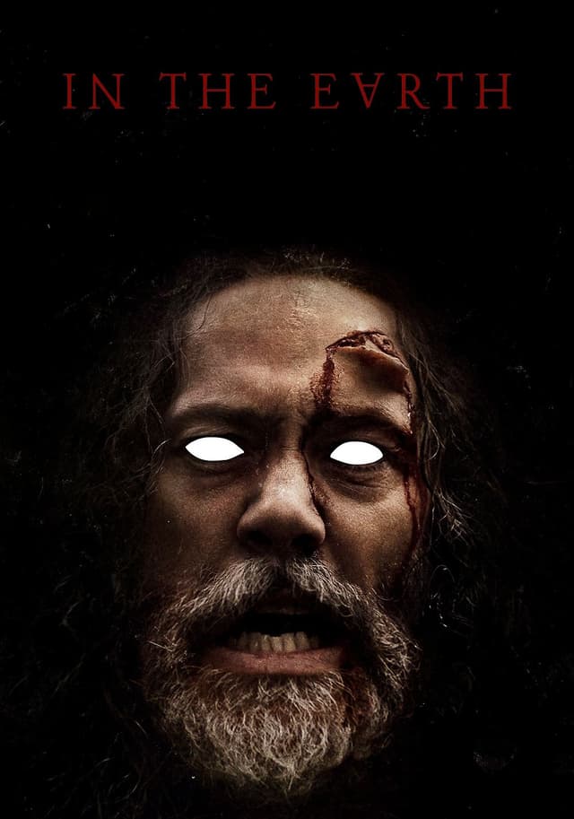In the Earth movie poster