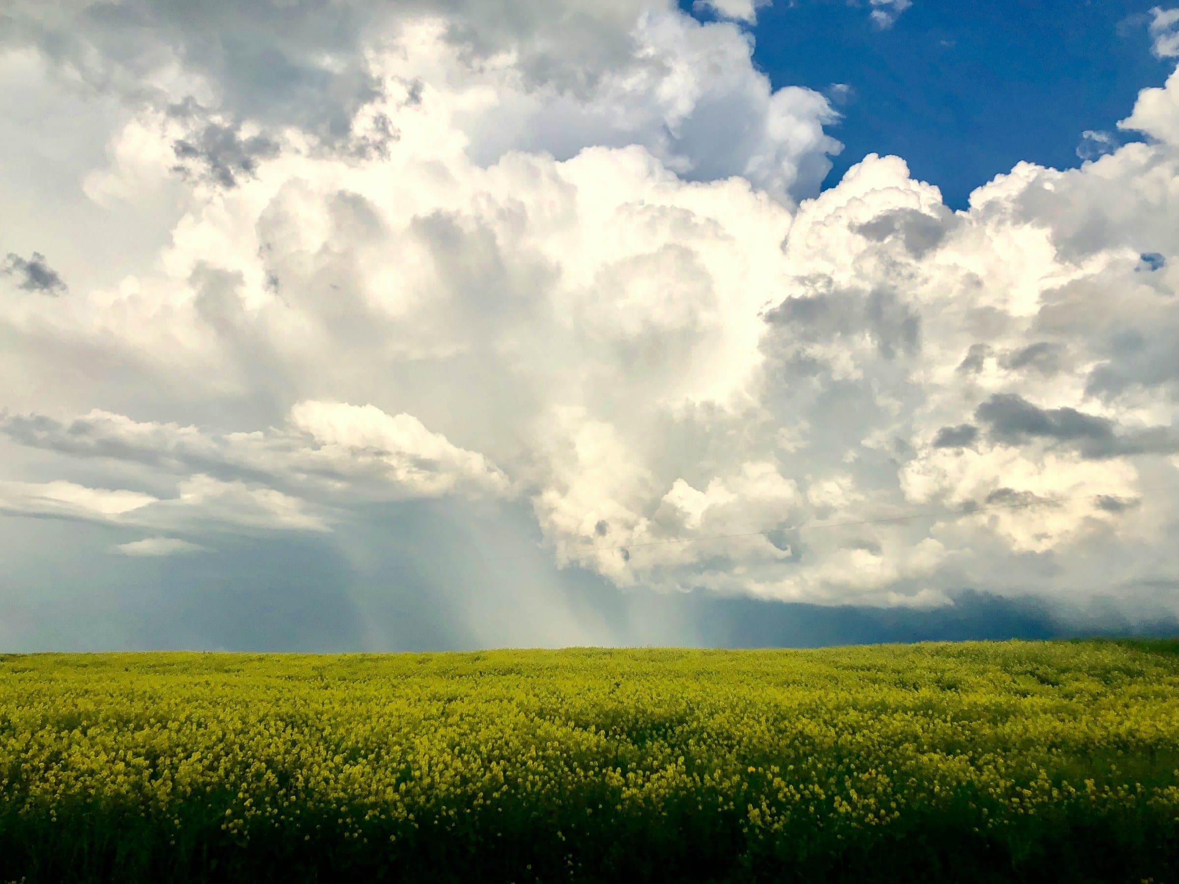 Saskatchewan Film Grant film production location