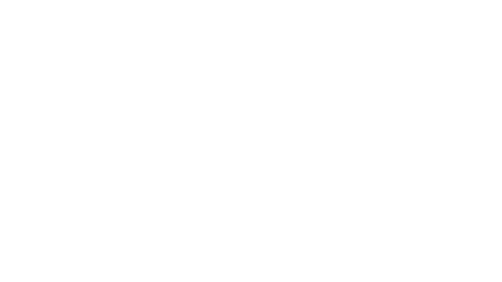 Morelia International Film Festival logo