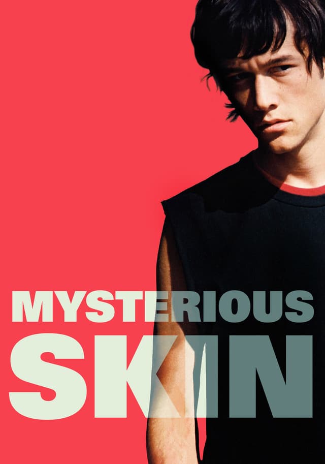 Mysterious Skin movie poster