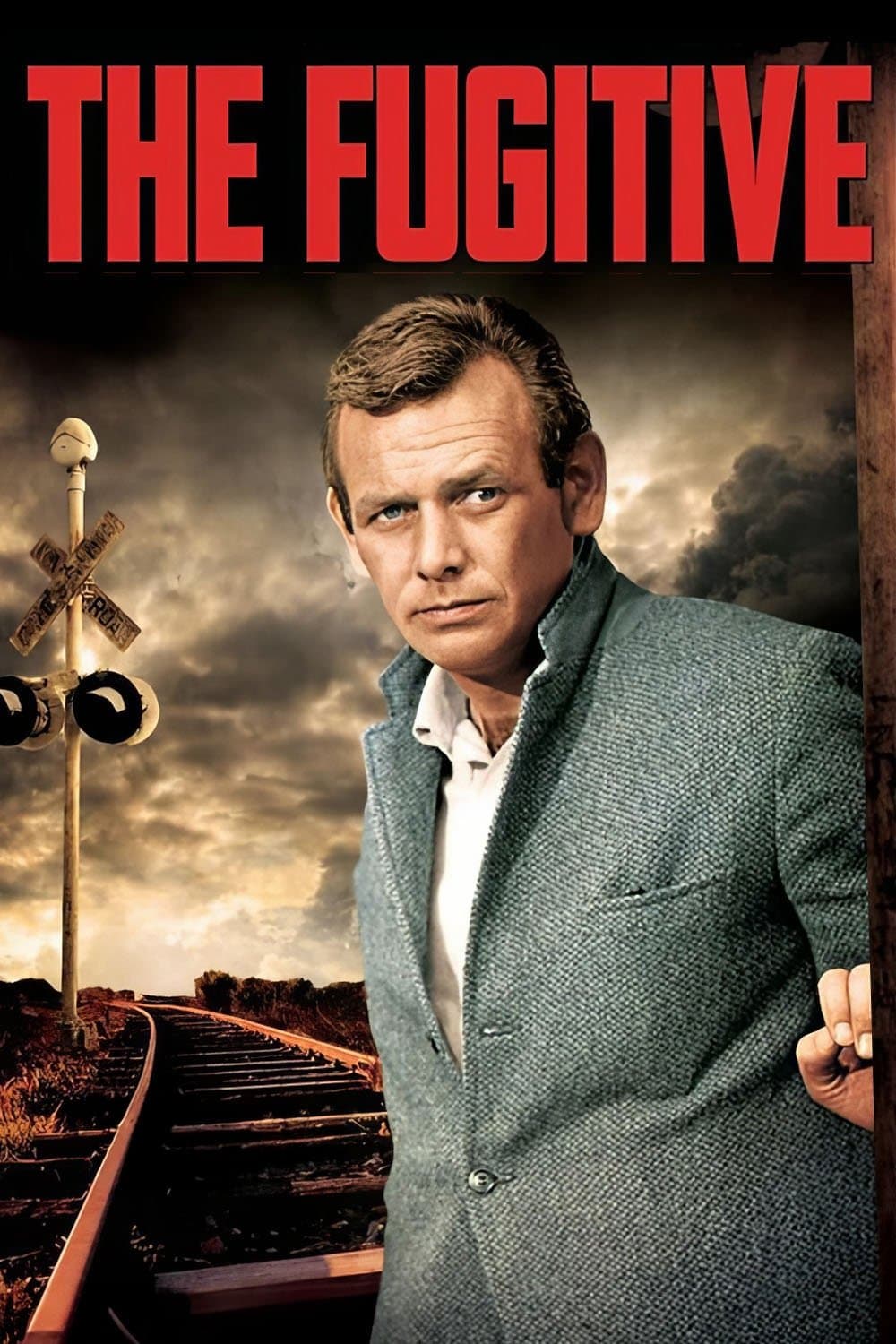 The Fugitive movie poster