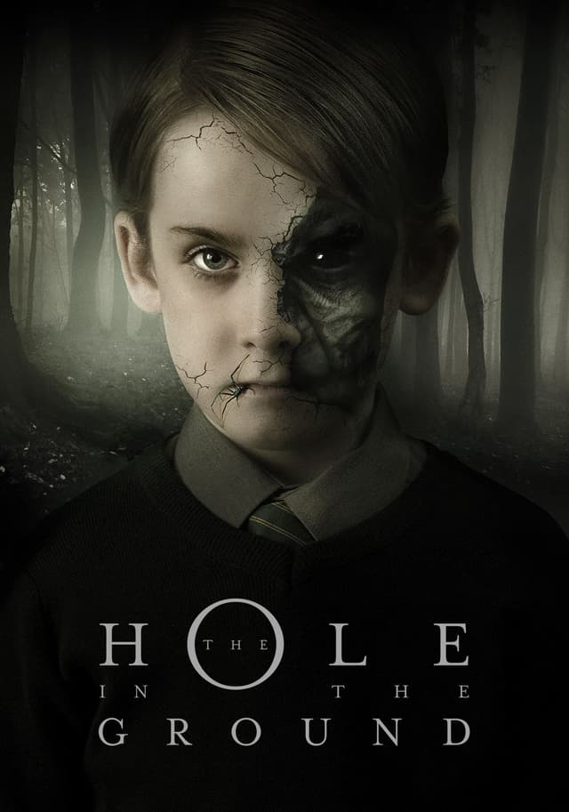 The Hole in the Ground movie poster