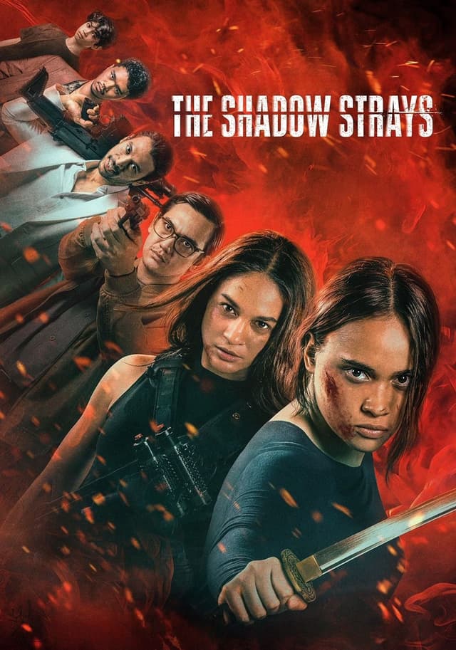 The Shadow Strays movie poster