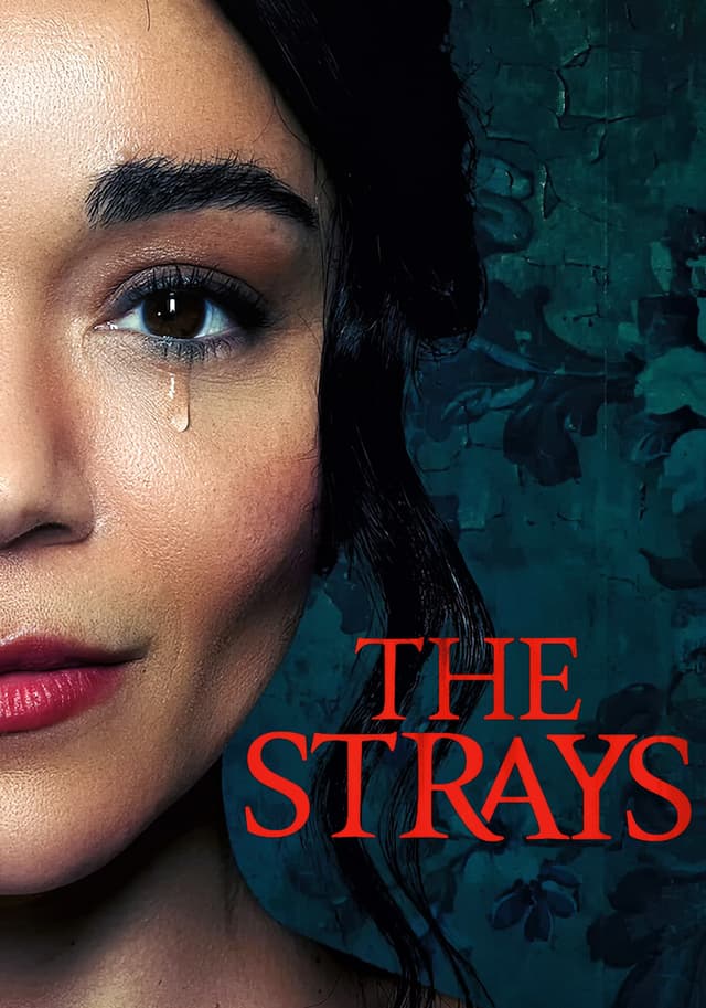 The Strays movie poster