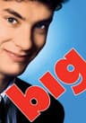 Big movie poster