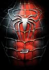 Spider-Man 3 movie poster