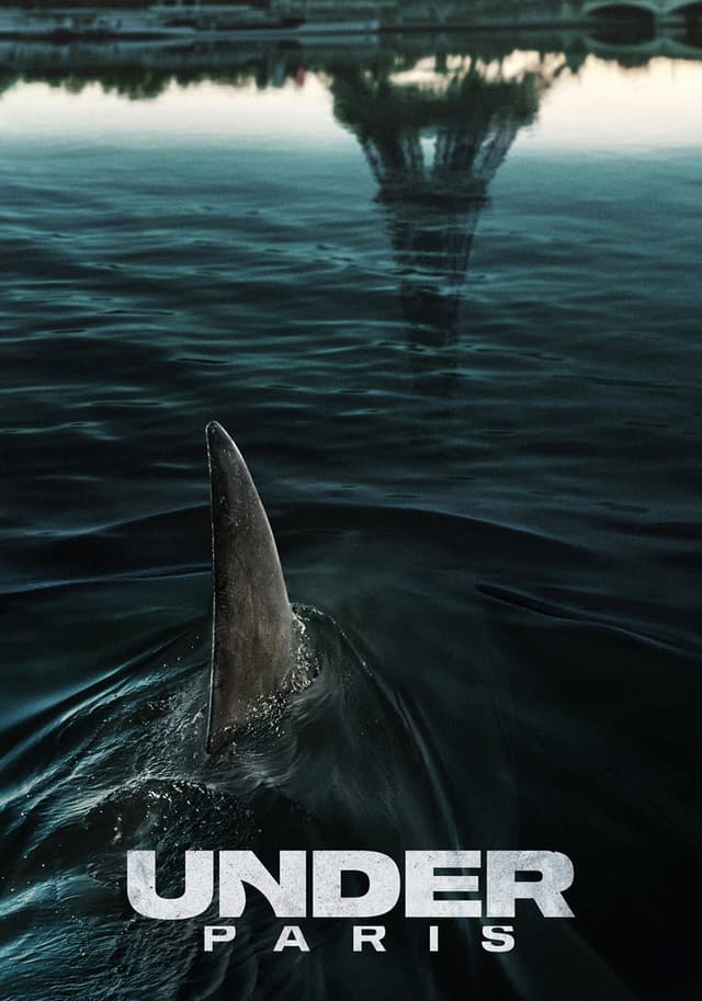 Under Paris movie poster
