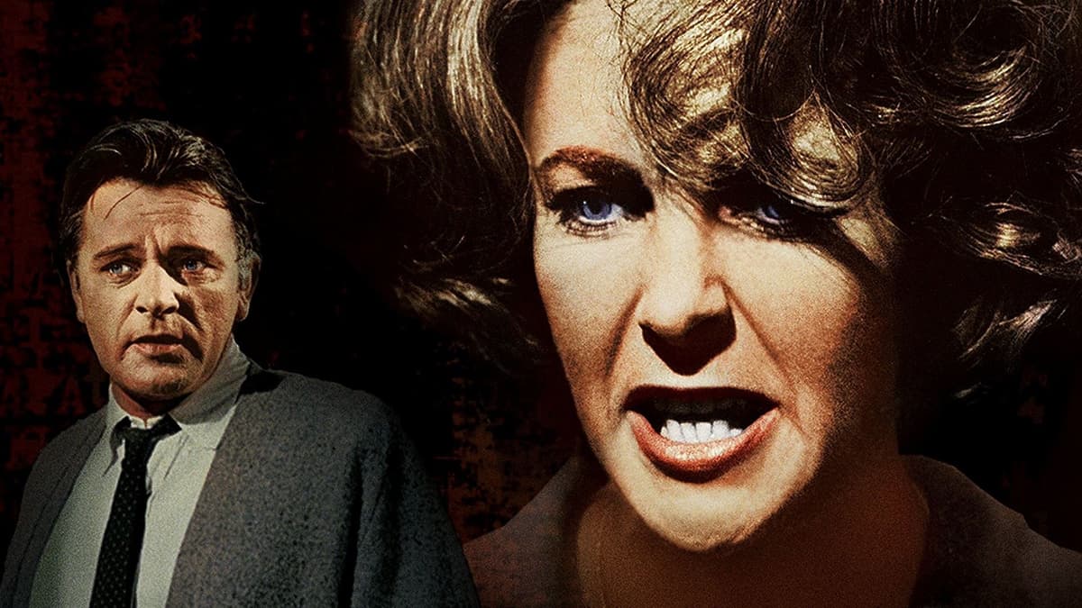 Who's Afraid of Virginia Woolf key art background