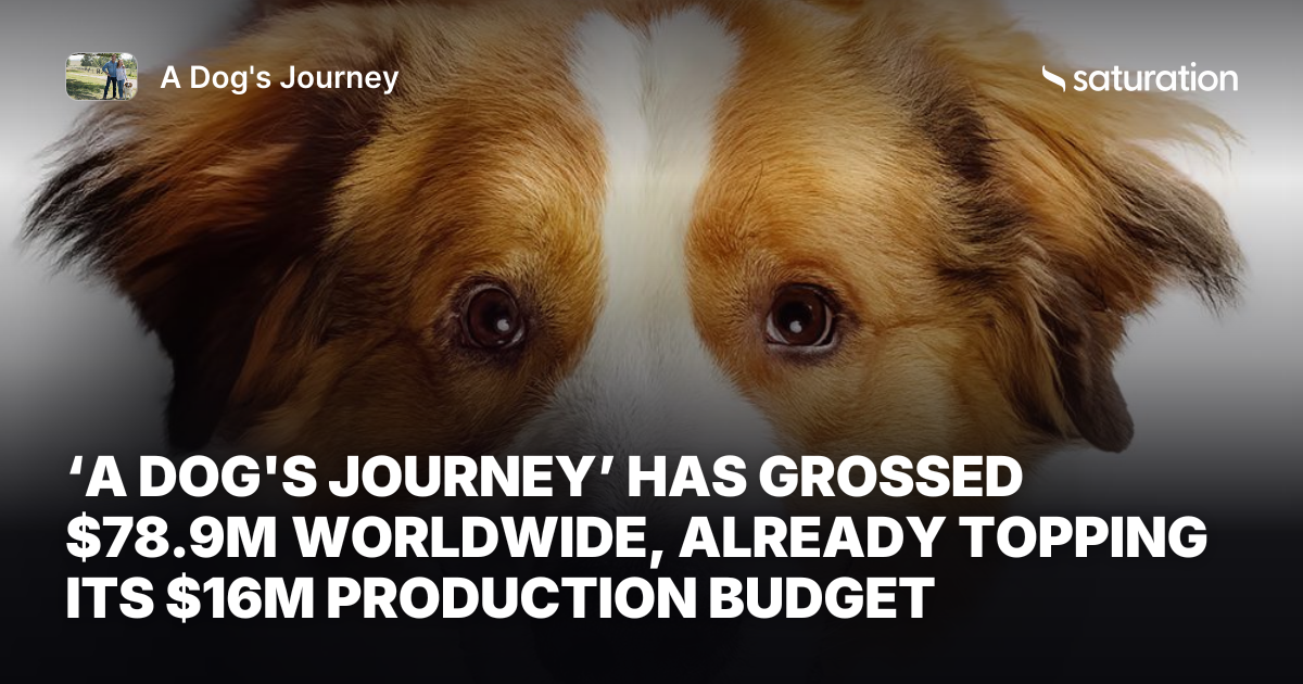 A Dog's Journey share card