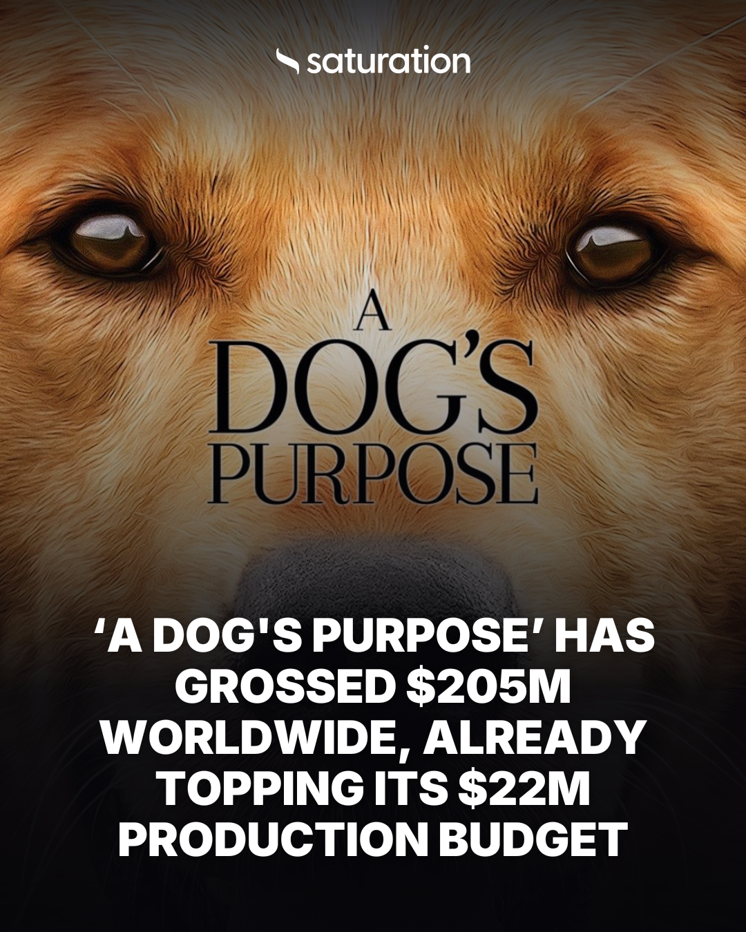A Dog's Purpose share card