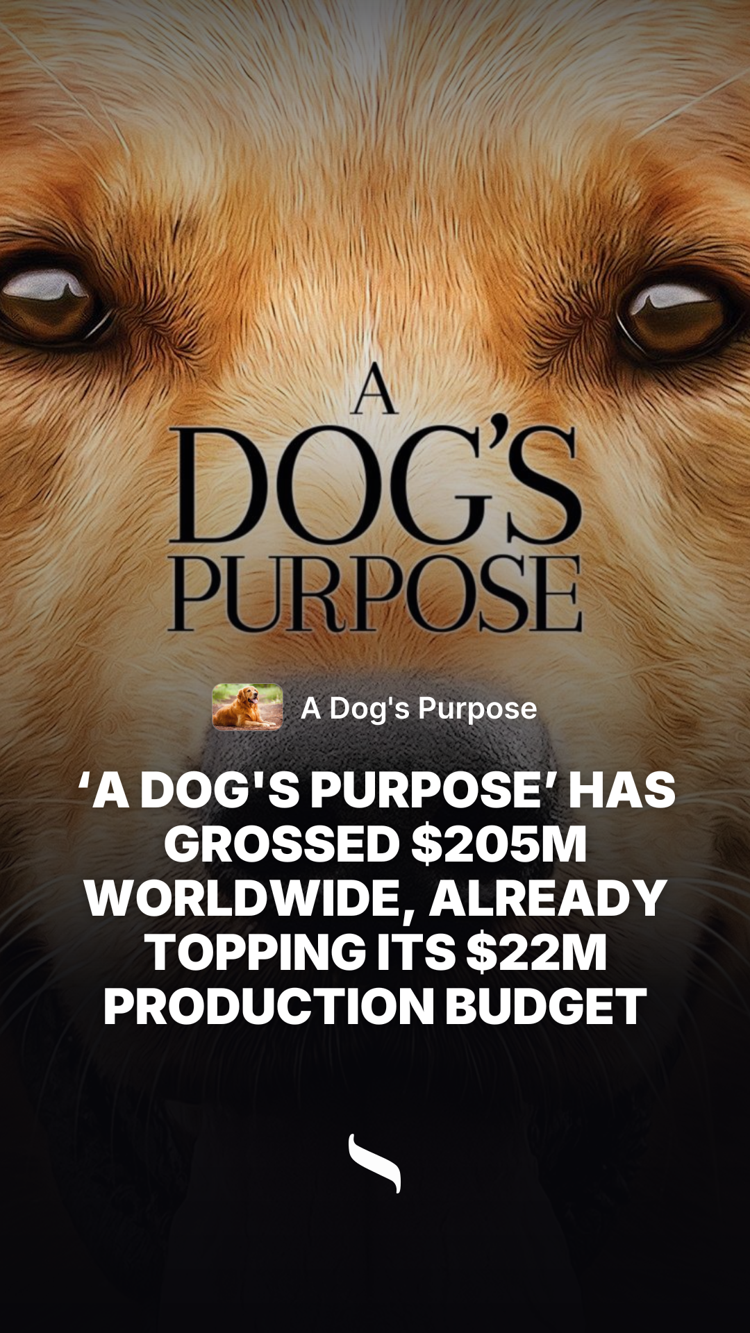 A Dog's Purpose share card